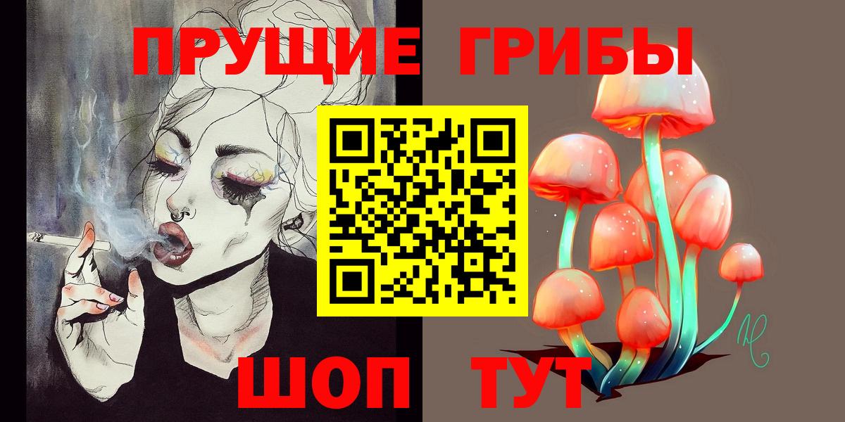Нефтекумск  где найти   Вход с VPN  Псилоцибиновые грибы Psilocybe 