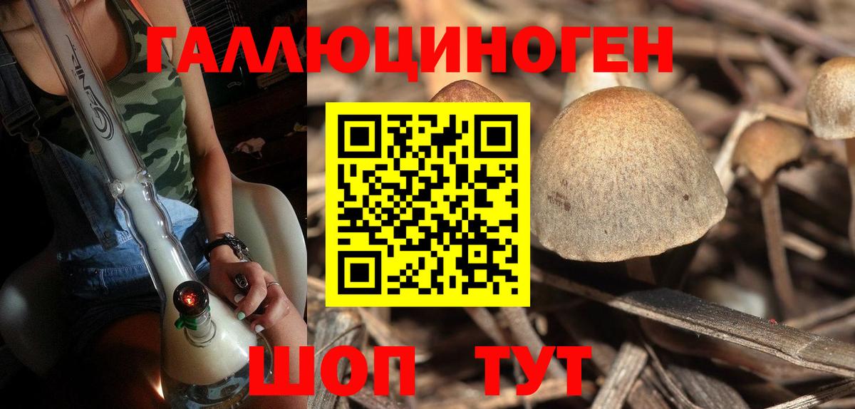 Псилоцибиновые грибы Magic Shrooms Нефтекумск